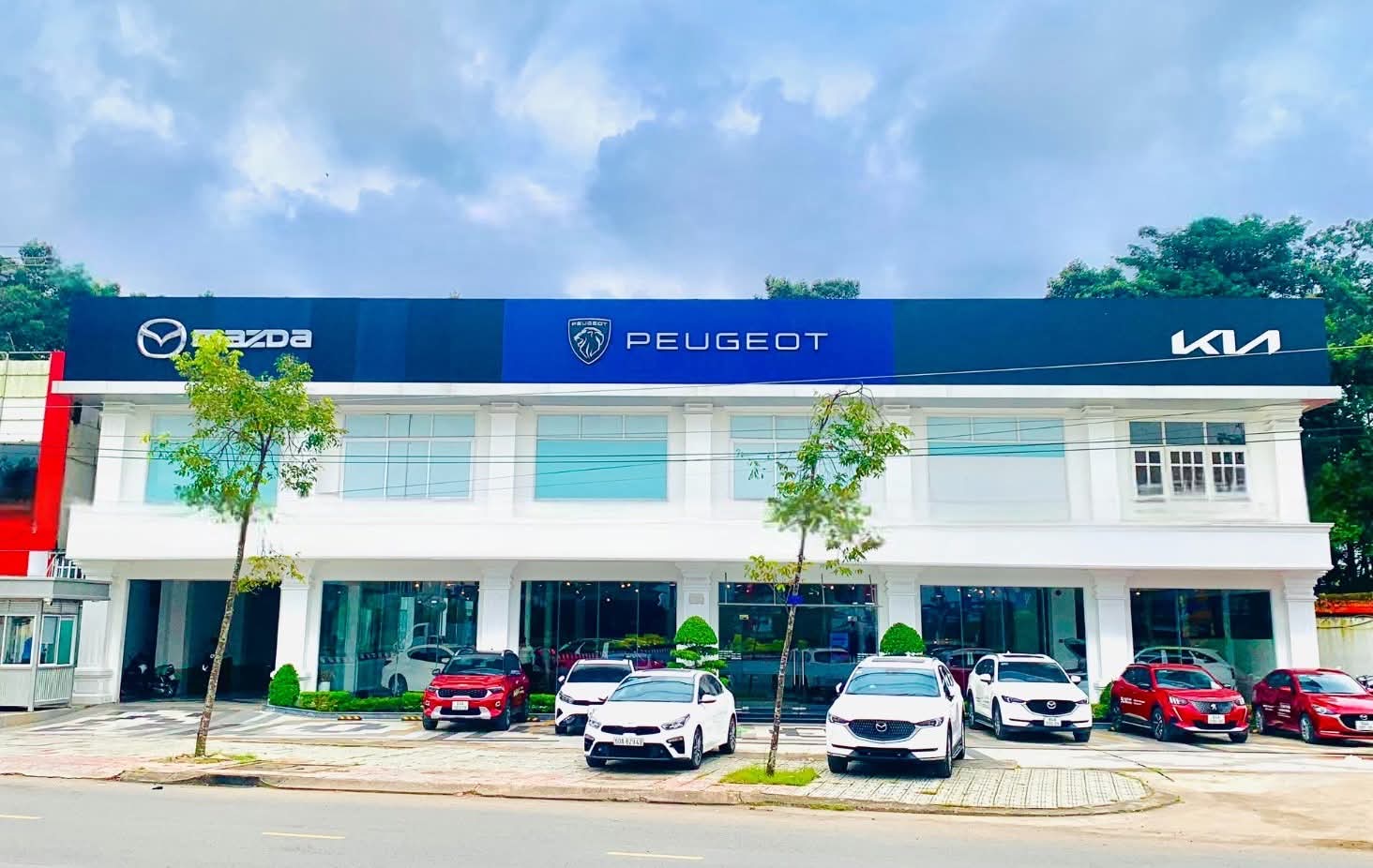 Kia Mazda Trà Vinh